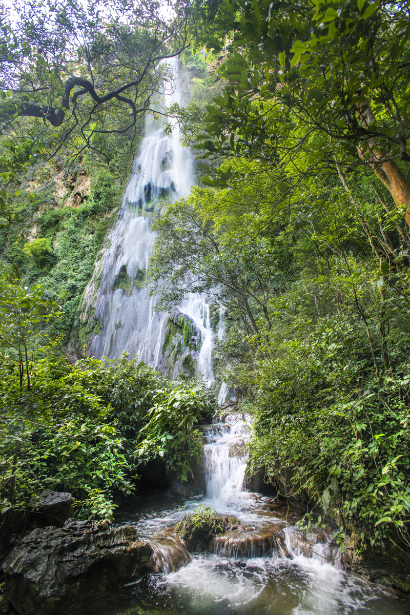 Bonito - Photo by Hudson Garcia (1)